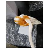 EVOTECH SCIENTIFIC Anatomical Shoulder Joint Model Medical Anatomy Skeleton, Human Shoulder Ligament Anatomy Replica of Norma Shoulder Joint for Doctors Educational Tool Medical Teaching Learning