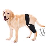 BaoGuai Knee Brace for SR488