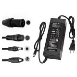 UL Certified 54.6V 2A Fast Electric Bike Charger for 48V Ebike Battery - Compatible with Lectric XP 2.03.0, Ecotric CityBeach, Evercross H5H7