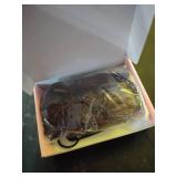 REECHO Curly Hair Extensions, 4PCS 16 inch Clip in Hair Extensions Lace Weft Short Curly Extension Clip Ins Invisible Natural Hairpieces for Women, Ombre Brown