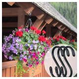 DINGEE 20 Pack Rubber Coated S Hooks for Hanging Plants,Heavy Duty S Hook,Non Slip 3 Inch Closet S Hooks,Steel Metal Black Vinyl Coated Small Hanging Hook for Jeans Pots and Pans Coffee Cups