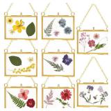 Kenning 8 Pcs Small Glass Frame for Pressed Flowers 3.5 x 2.5 Inch, Double Floating Picture Frames Brass Hanging Photo with Chain Wall Decor for Dried Flower Christmas Tree Ornaments(Gold)