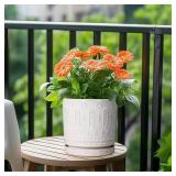 Eightpot Plant Tray for Pots - Ceramic Plant Saucer for Indoors Outdoors 7.5 Inch Plant Water Catcher Tray Plant Drainage Dray Decorative Flower Pot Saucer Plant Plates to Catch Water White