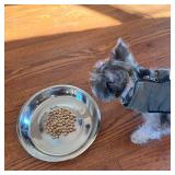 SPOT Puppy Litter Dishwasher-Safe Stainless Steel Feeder Pan, Rust-Proof, Low Sides for Easy Access, for Single or Multiple Puppies, 10\ Diameter x 1.25\in Depth, Holds 5 Cups (40 oz)in