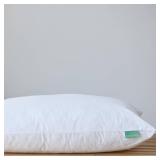 Avocado 100% Certified Organic Bed Pillow with Organic Cotton Shell, Organic Latex & Kapok Fill, Standard - Retail: $90