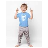 Three Rex - Toddler Clothes - 3 Years Old Birthday Tshirt Funny Outfit Cute Dinosaur Shirt 3T