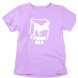 Three Rex - Toddler Clothes - 3 Years Old Birthday Tshirt Funny Outfit Cute Dinosaur Shirt 3T