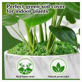 Green Craft Moss, Real Forest Moss for Planters, Decorative Moss for Table Centerpieces Wedding Christmas Fairy Party Decor, Forest Moss for Indoor Planters, DIY Project 7 Oz