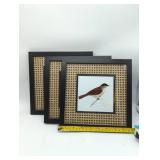 Studio Decor Bird Print Frames, 3 count, New.