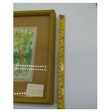 \"Colorado Aspen\" Artist