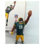 Randall Cobb Green Bay Packers Hallmark Collectible Ornament, 2018