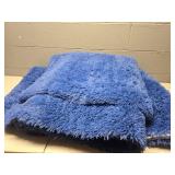 Blue Shag Area Rug
