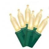 Indoor/Outdoor 100-Count LED Mini Christmas String Lights, Warm White, 19.5