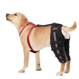 Moysoon Dog Anti-Licking Leg Sleeve,Rear Leg Protector to Stop Licking,Wound Protection Sleeve for Post-Surgery Recovery,Both Leg Medium