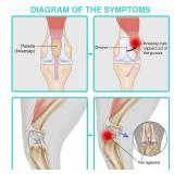 Moysoon Dog Anti-Licking Leg Sleeve,Rear Leg Protector to Stop Licking,Wound Protection Sleeve for Post-Surgery Recovery,Both Leg Medium
