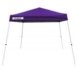 Academy Sports + Outdoors Easy Shade 10 Ft X 10 Ft Slant Leg Canopy