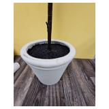 72\" Ficus Artificial Tree - Thresholdâ¢ designed with Studio McGee - Retail: $150