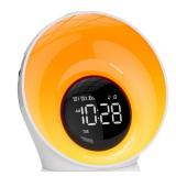 Wake Up Light Sunrise Alarm Clock, White Noise Sleep Sound Machine with 30 Soothing Sounds, Night Lights, Dual Alarms, Snooze, Timer, Bedside Lamp, Christmas Gift for Women, Kids, Heavy Sleepers