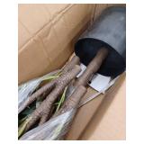 8FT Artificial Indoor Olive Tree