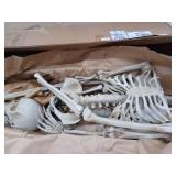 Life Size Skeleton Pallbearers Halloween Display