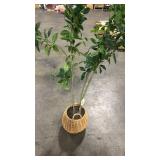 Bay Leaf Tree in Basket - Thresholdâ¢ designed with Studio McGee