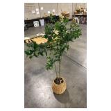 Bay Leaf Tree in Basket - Thresholdâ¢ designed with Studio McGee