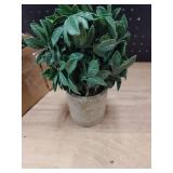 Small plastic house plants two pack