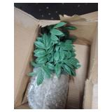 Small plastic house plants two pack