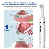 Tooth Polisher,Teeth Polishing Kit for Daily Cleaning,Polishing Then Whitening of Tooth (Professional Toothpaste Include),USB Rechargeable Dental Polisher with LED Light,6 Heads,5 Speed Modes