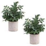 Small plastic house plants two pack