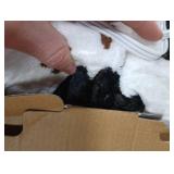 blunique Cow Print Heated Throw Blanket Electric Blanket-Heating Blanket Throw with 10 Heat Levels & 10 Hours Auto Off, Cozy Soft Fleece Sherpa, Washable, 50 x 60 Inches Cow Print White