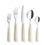 ANNOVA Silverware Set Stainless Steel Colorful Handle Tableware Kitchen Flatware Set Utensils, Includes Dinner Knives, Forks, Spoons, Salad Forks & Dessert Spoons (Cream, 20 Pieces)