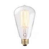 Globe Electric 60 Watt S-Shape Dimmable Cage Filament Vintage Edison Incandescent Light Bulb, Warm Candle Light, 2 Pack