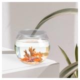 Small Fish Tank Goldfish Bowl - Transparent Plastic Round Bowl - Aquarium Terrarium Hydroponic Planter Fish Bowl for Centerpieces Goldfish Tank Desk Bookcase Decorations - Retail: $26