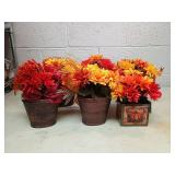 Fall Mum Potted Arrangement lot of 6