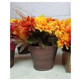 Fall Mum Potted Arrangement lot of 6