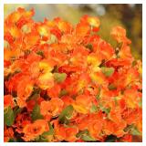 8 Bundles Fall Flowers Artificial for Decoration, Faux Fall Flowers for Outdoor Planters, Autumn Fake Hibiscus Syriacus Silk Flowers Plants Look Real UV Resistant for Outside Home Porch Patio