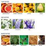 UCC Reed Diffuser Set, 3.38 oz Pure Orange Premium Scented Diffuser with Flower Sticks Home Fragrance Reed Diffuser for Bathroom Shelf Decor