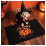 Pumpkin Front Door Mat Indoor Outside Entrance, Heavy Duty Dirt Trapper Doormat with Non Slip Backing Entryway Mat for Front Back Door, 17