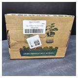 BYDOLL Plant Self-Watering Stakes Automatic Dripper Watering Spikes for Indoor Outdoor Plant