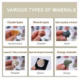 6Pcs Mystery Natural Rough Stones Collection Box - Real Crystals Decor for Adults & Kids | Witchy Curio Cabinet Decor | Unique Gifts for Science Lovers