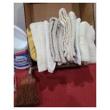 Bleach, Shout, CLR, rags