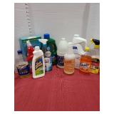 Household cleaning products.