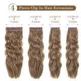 REECHO Hair Extensions, 4PCS Clip in Hair Extensions HE001 Natural Soft Synthetic Hairpieces for Women, Light Brown with Blonde Highlights