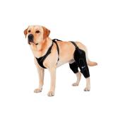 REBORN Dog Double Knee Brace for Torn ACL, CCL & Luxating Patella | Adjustable Dog Knee Brace for Back Leg Support & Recovery | Dog Hind Leg Brace for Stability, Arthritis, Injury & Joint Pain Relief