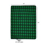 Heated Blanket - 12-Volt Electric Blanket for Car, Truck, SUV, or RV - Portable Winter Car Accessories for Camping or Travel by Stalwart (Green Plaid)