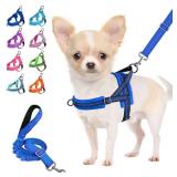 Lukovee No Pull Dog Harness and Leash Set, Soft Padded Small Dog Harness, Neck & Chest Adjustable Reflective Vest Puppy Harness with 4ft Lightweight Anti-Twist Dog Leash for Small Dogs (S, Blue)