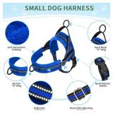 Lukovee No Pull Dog Harness and Leash Set, Soft Padded Small Dog Harness, Neck & Chest Adjustable Reflective Vest Puppy Harness with 4ft Lightweight Anti-Twist Dog Leash for Small Dogs (S, Blue)