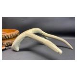 Rustic Home Decor Nut Bowl, Pic, Pic Holder and Antler