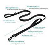 Heavy Duty Dog Leash - 2 Handles by Padded Traffic Handle for Extra Control, 6foot Long - Perfect for Medium to Large Dogs (Purple, 6 ft)